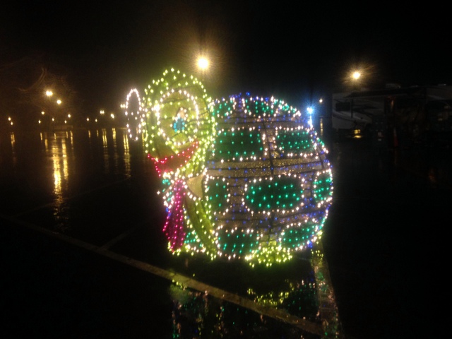 From the electrical parade, I loved seeing this!